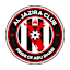 From team logo