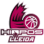 To team logo