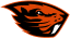 From team logo