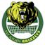 From team logo