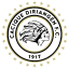 From team logo