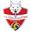 To team logo