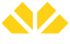 From team logo