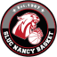 From team logo
