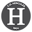 From team logo