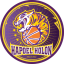 From team logo