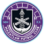 From team logo
