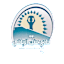 From team logo