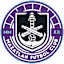 From team logo