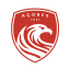 From team logo