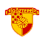 From team logo