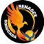 From team logo