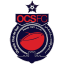 From team logo