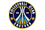 To team logo