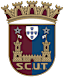 From team logo