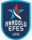 To team logo