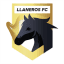 From team logo
