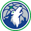 From team logo