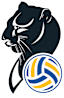 From team logo