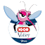 From team logo