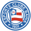From team logo