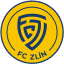 From team logo