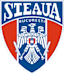 From team logo