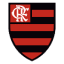 From team logo