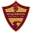 To team logo