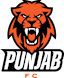 From team logo