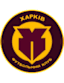 To team logo