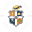 To team logo
