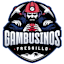 From team logo