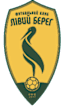 From team logo