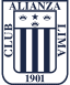 From team logo
