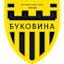 To team logo