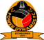 From team logo