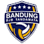 From team logo