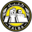 To team logo