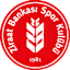 From team logo