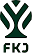 From team logo