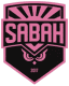 From team logo