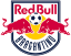 From team logo