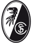 From team logo