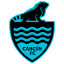 From team logo