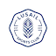To team logo