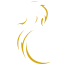 League Two football league logo