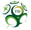 Division 1 football league logo