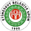 Etimesgut FC team logo