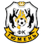 Tyumen logo